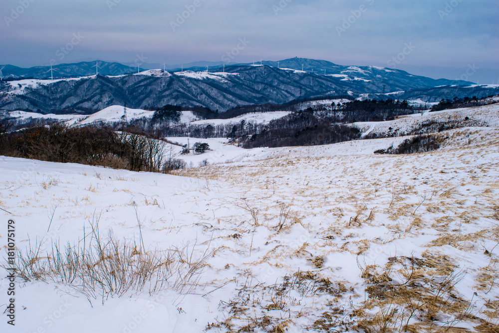 Snowy Pyeongchang-gun Daegwallyeong's way to seonjalyeong.