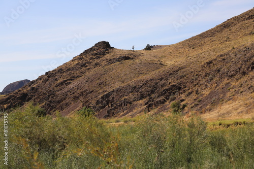 Принти на полотні Lone tree growing against all odds in an inhospitable landscape