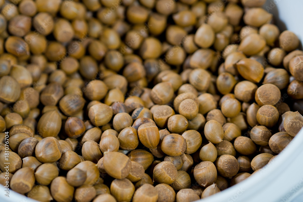 Plants seed Plants seed