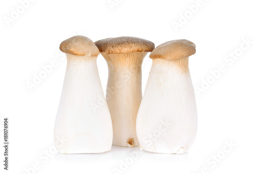 Royal Mushroom on White Background