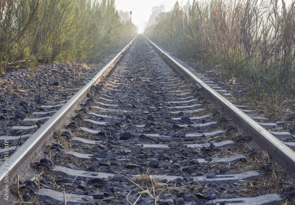 Fototapeta premium Railways in Countryside in the Morning