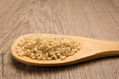 Whole Short Grain Rice Seed. Grains in wooden spoon. Rustic. photo