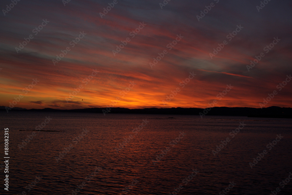 Obraz premium Dark Vibrant Sunset Over Victoria, British Columbia, Canada, in the fall.