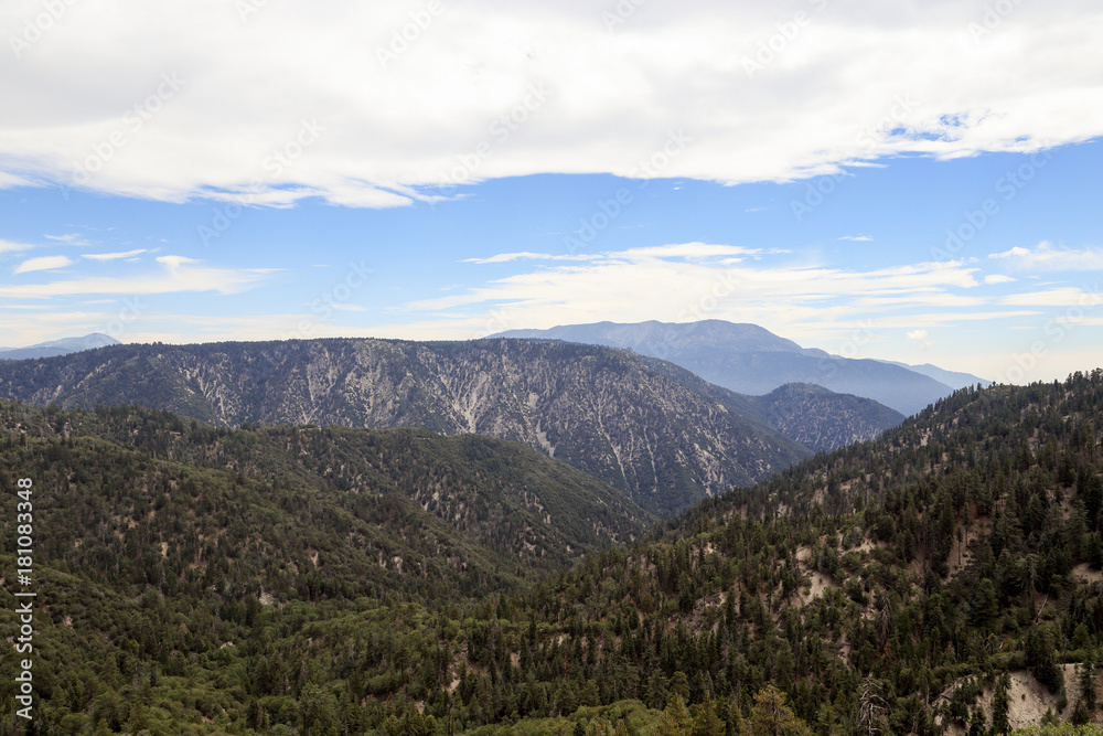 Fototapeta premium San Bernarnino National Forest