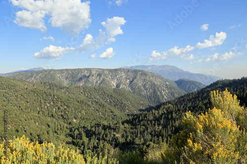 San Bernarnino National Forest