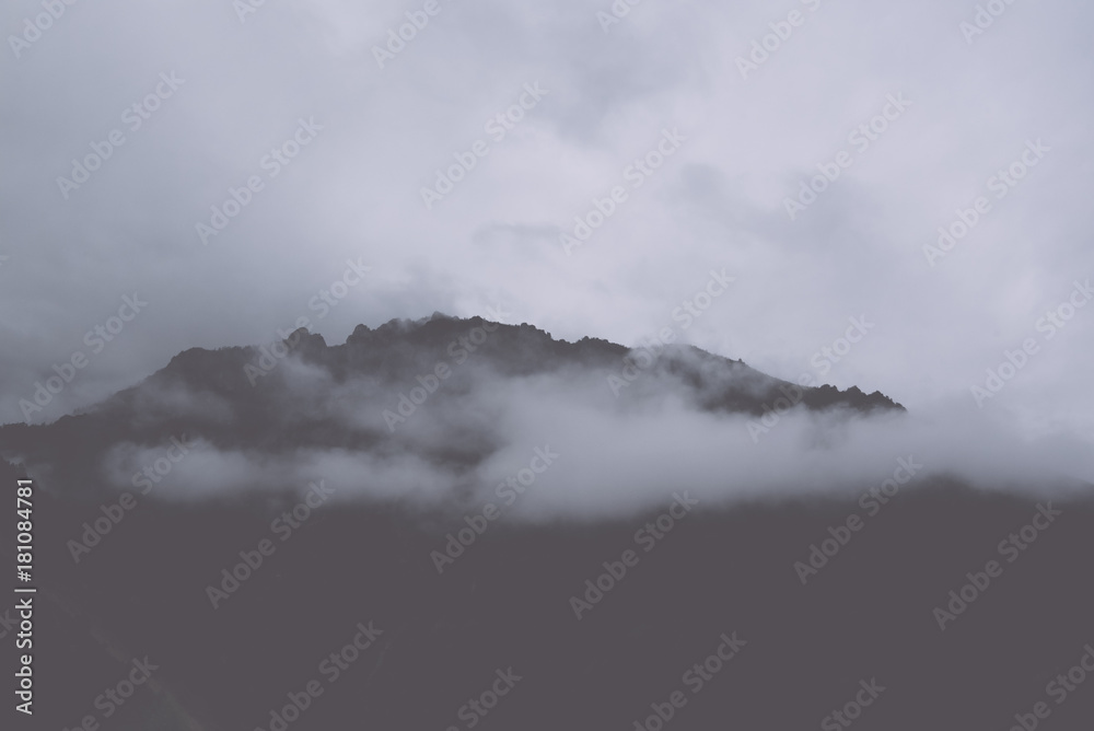 mountain slope in lying cloud with the evergreen conifers shrouded in mist in a scenic landscape view