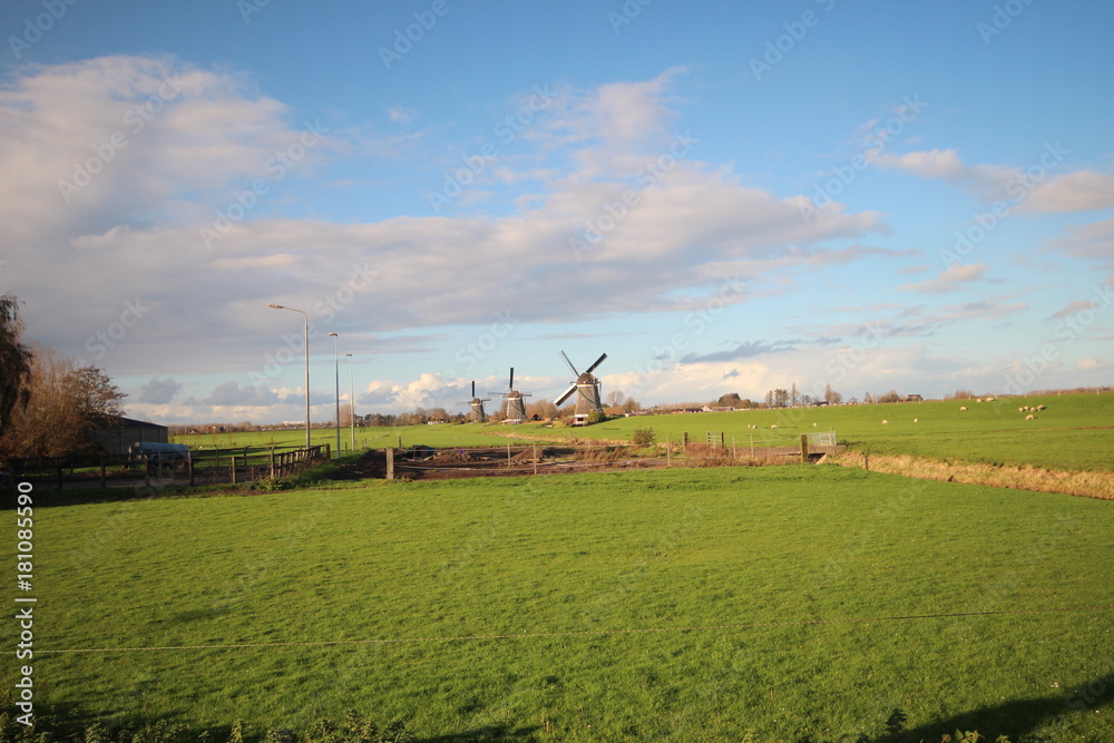 Windmills of the wilsveen water system in the driemanspolder. Stompwijk, Netherlands
