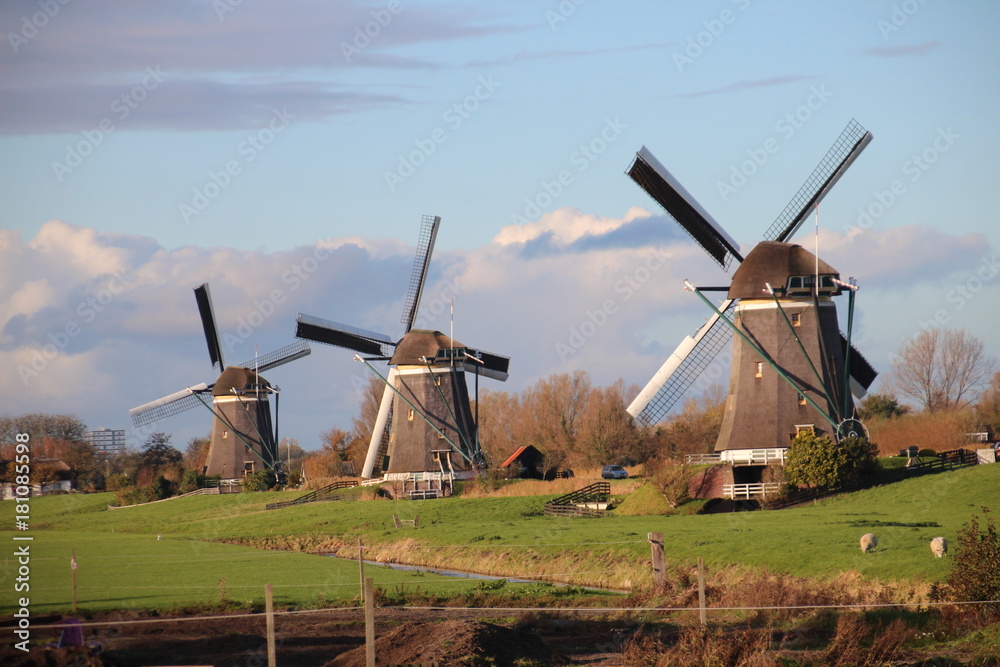 Naklejka premium Windmills of the wilsveen water system in the driemanspolder. Stompwijk, Netherlands