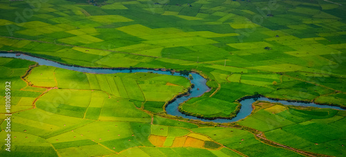 Beatiful in terrace field rice 
