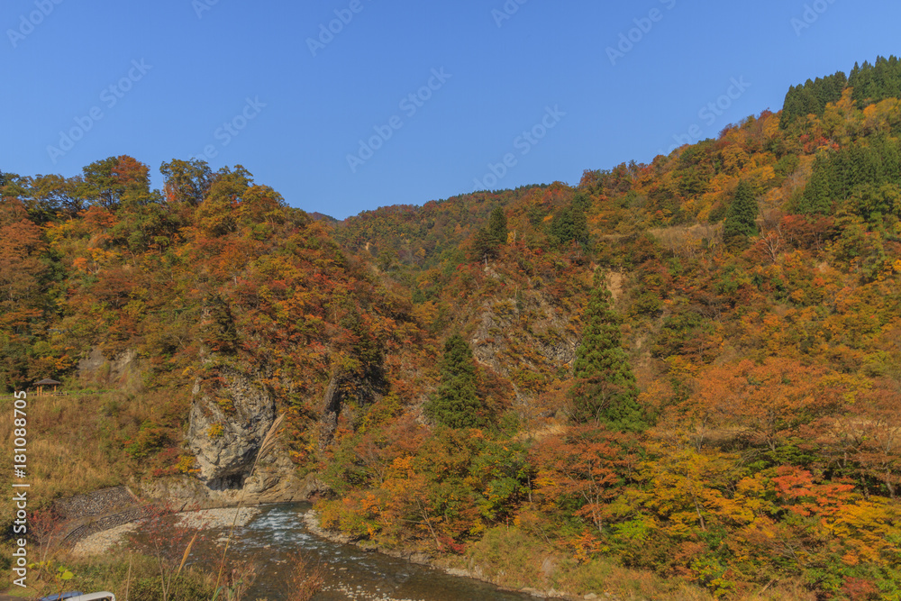 秋の清津川の風景 秋の清津川の風景