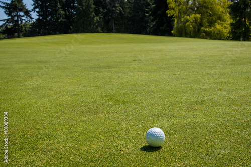 Golf ball on the golf green waiting to be hit into the hole, evergreen trees in the background 