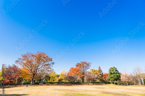 秋晴れの空が広がる公園