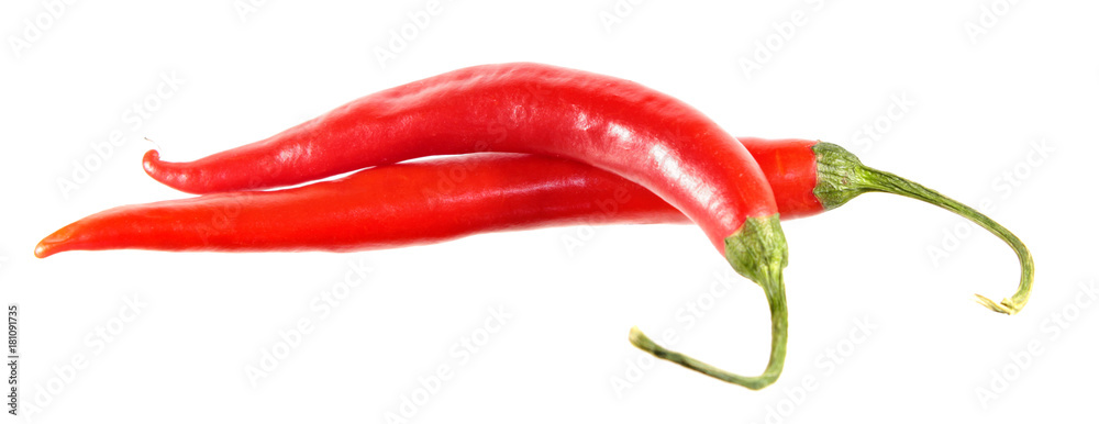 Two red chili peppers isolated on white background