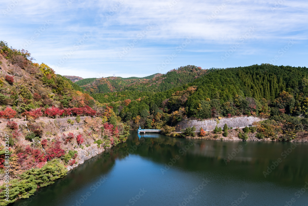 箕面川周辺の風景