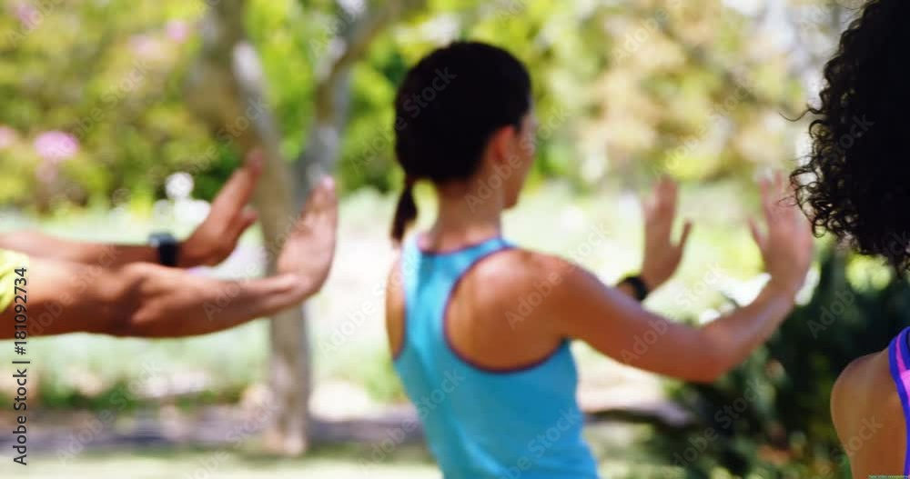 Group of people exercising in the park Group of people exercising in the park