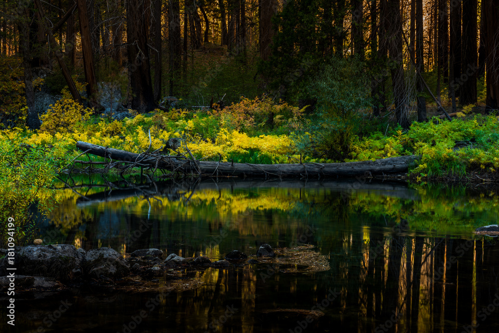 Yosemite Fall 2017 Yosemite Fall 2017