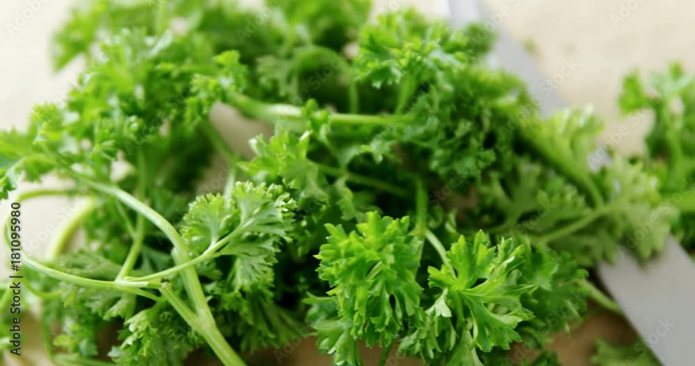 Fresh coriander leaves with knife Fresh coriander leaves with knife
