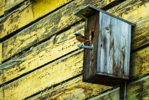 Bird house with bird sitting on the pole. People help the birds.