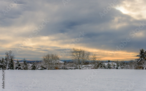 Wallpaper Mural cold, beautiful, snowy winter Torontodigital.ca