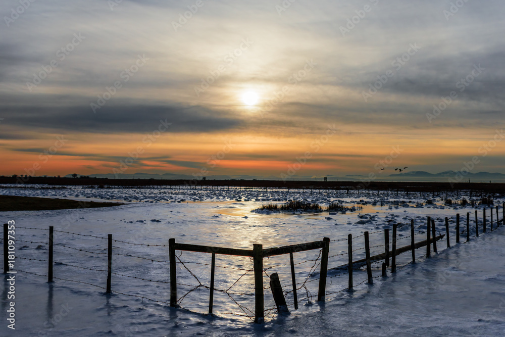 cold, beautiful, snowy winter cold, beautiful, snowy winter