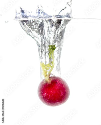 radish in water isolated on white background