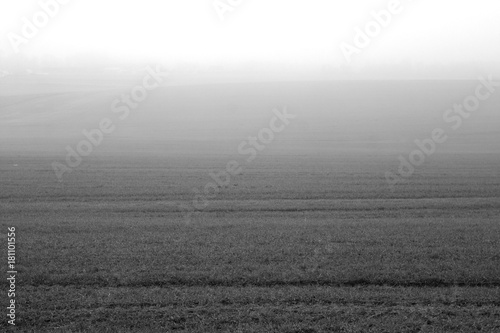 Black and white agriculture field in fog.
