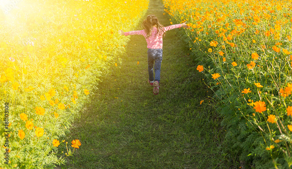 Fototapeta premium The little girl in the field of cosmos yellow flowers at sunlight in the morning