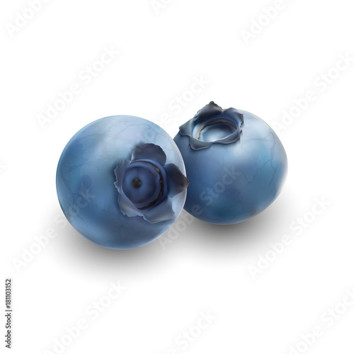Blueberry isolated on white background