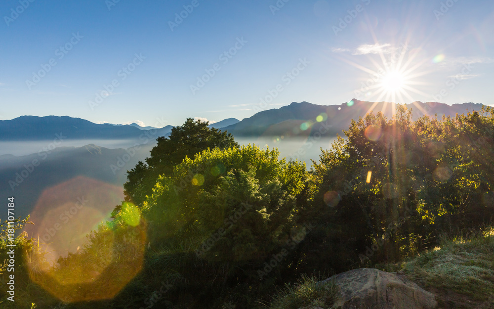 Fototapeta premium Morning view of Zhushan blue mountains range covered by haze with green forest and shining sunlight, forest area in Alishan, Taiwan.