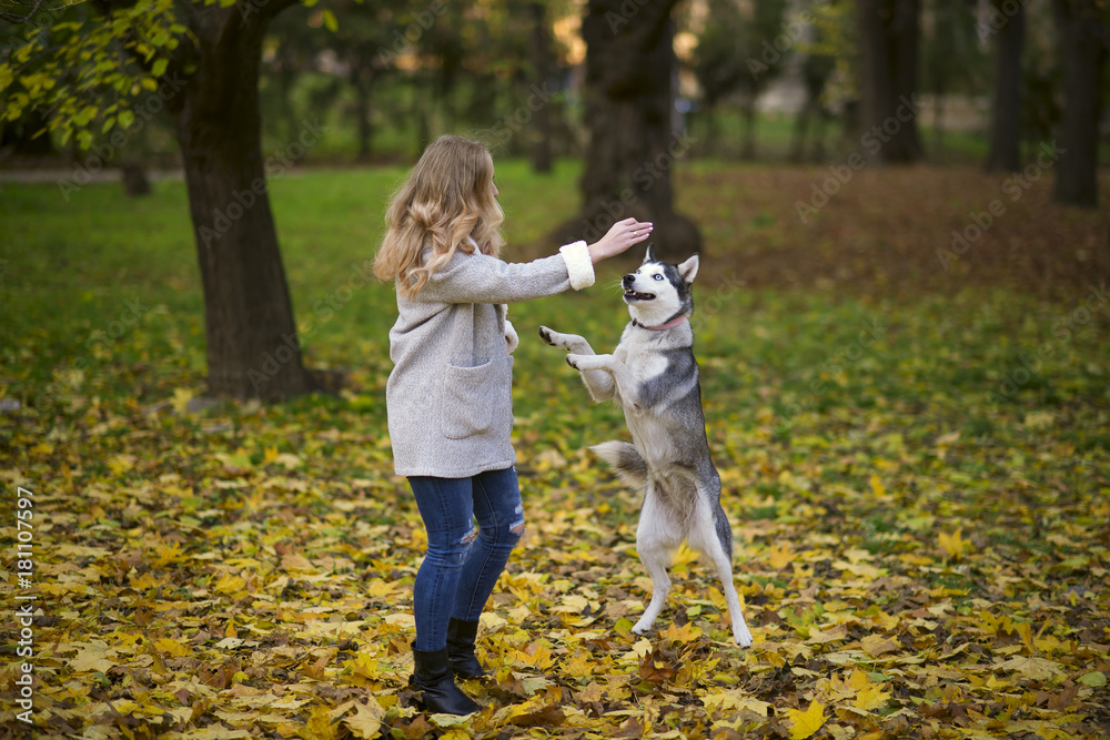 Girl and Husky dog having fun against the background of autumn park