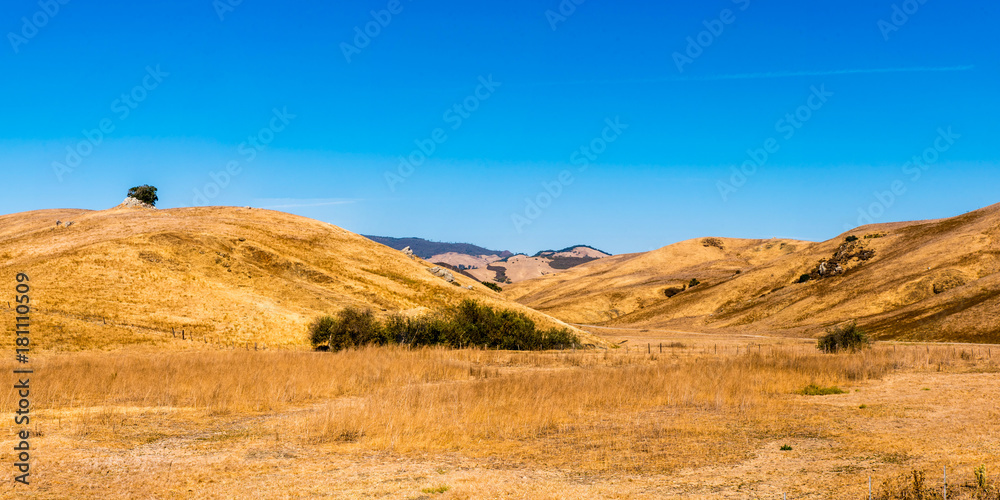 Panorama Gelbe Hügel in Kalifornien
