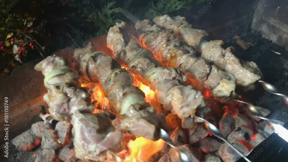 Shish kebab on skewers cooking over live coals Shish kebab on skewers cooking over live coals