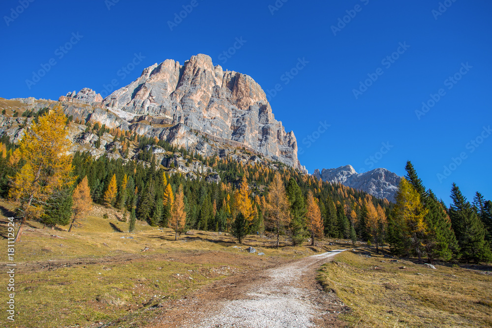 View of Tofane mountains on the background from Falzarego pass in an autumn landscape in Dolomites, Italy.