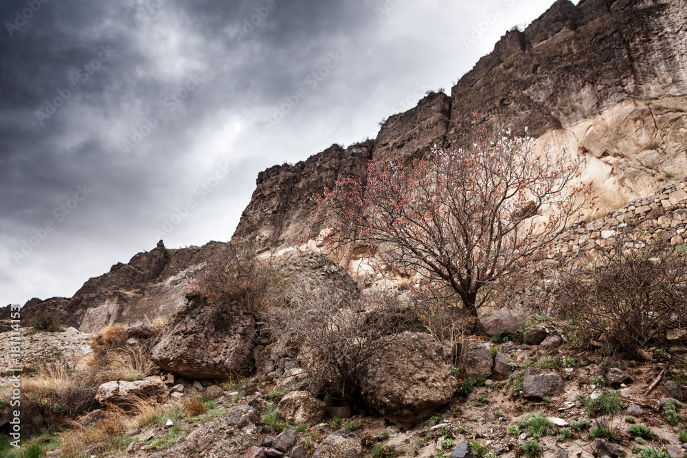 Fototapeta premium Vardzia cave city-monastery in the Erusheti Mountain, Georgia