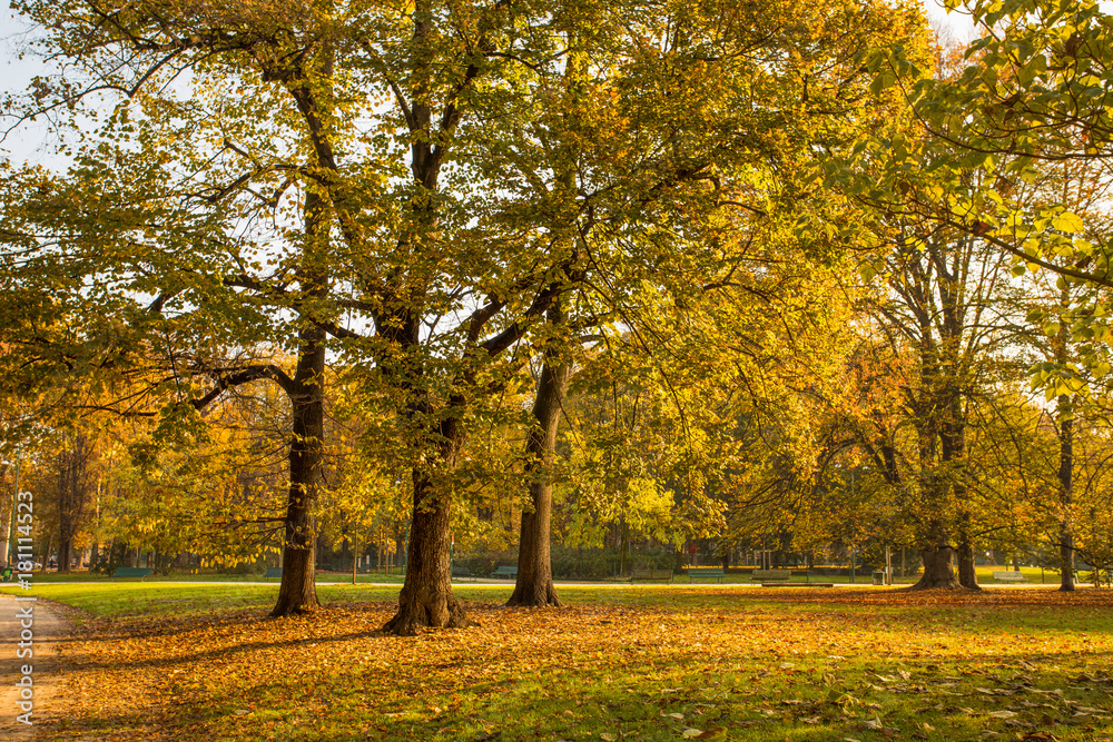 Autumn in Sempione Park in Milan, Italy.