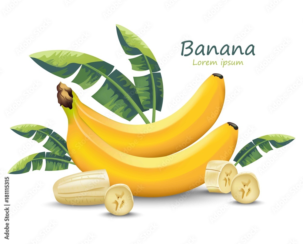 fruit banana cartoon vector object 4557519 Vector Art at Vecteezy