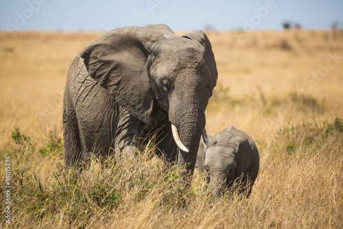 Mama, who is this Donald Trunk? © GunnarImages