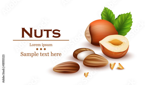 Nuts Realistic Vector. Template label design illustrations