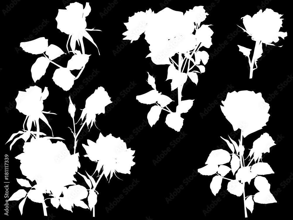 set of roses white silhouettes on black background