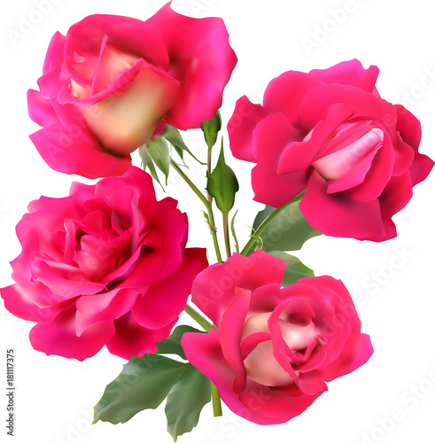 four pink isolated roses in bunch