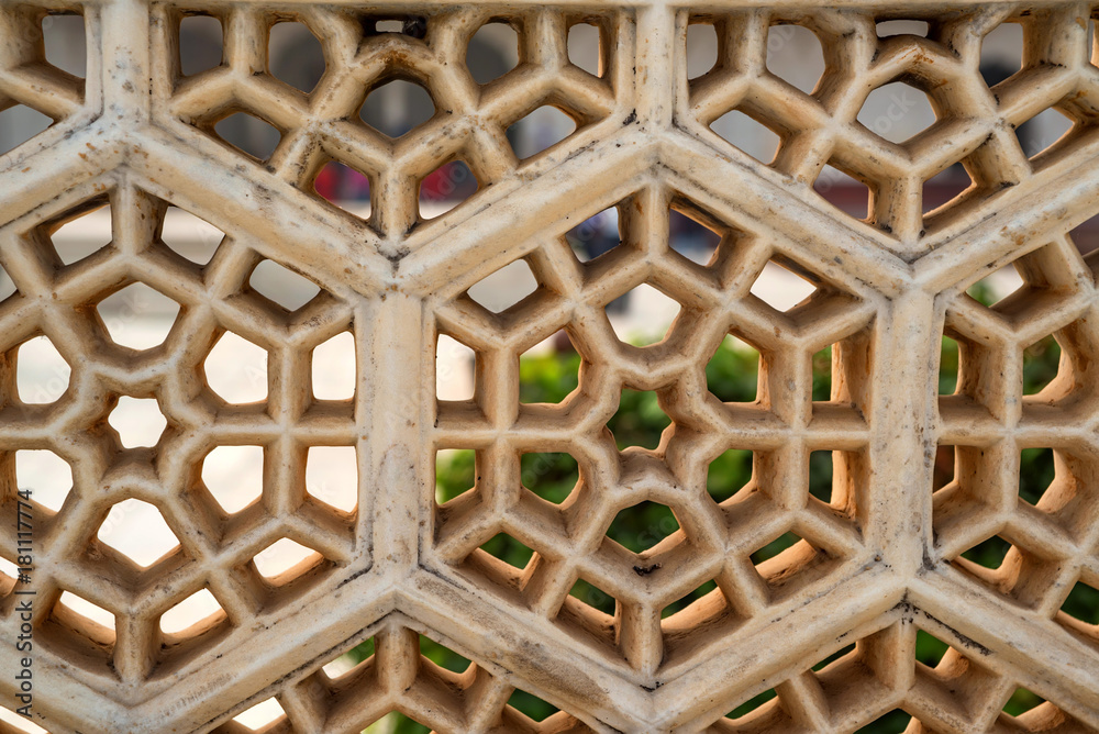 Architectural pierce work of Red Fort of Agra Architectural pierce work of Red Fort of Agra