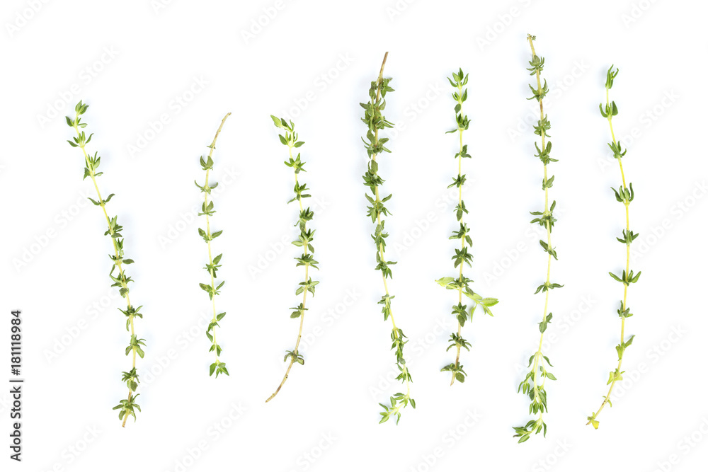 Fresh thyme on a white background. Fresh thyme on a white background.