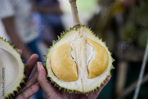 mini Puang Manee durian on woman hand photo