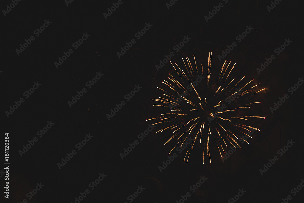 Bright fireworks in the night sky on a holiday Bright fireworks in the night sky on a holiday