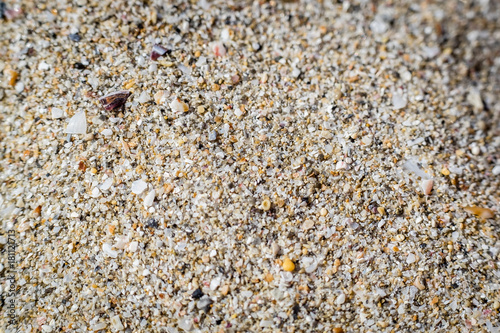 sand on the sea beach