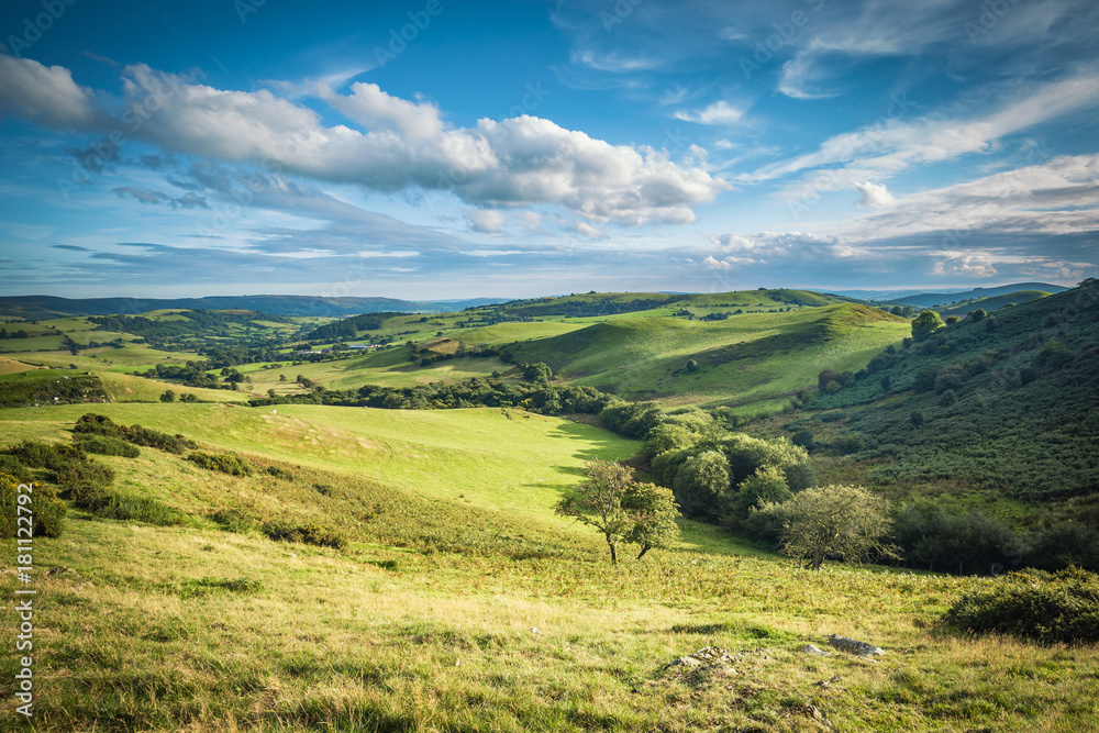 Fototapeta premium Scenic British Countryside at Summer