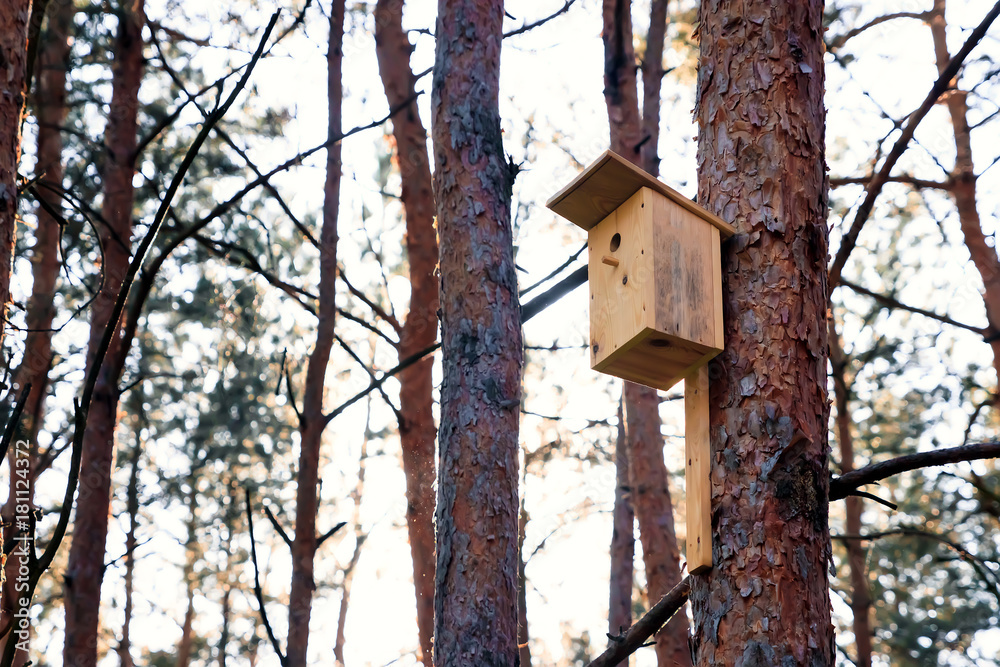 birdhouse on a tree in forest Park , hand wood shelter for birds to spend the winter
