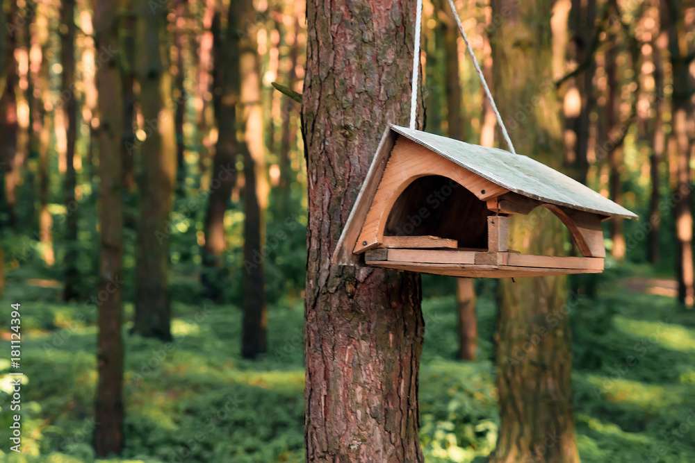 birdhouse on a tree in forest Park , hand wood shelter for birds to spend the winter birdhouse on a tree in forest Park , hand wood shelter for birds to spend the winter
