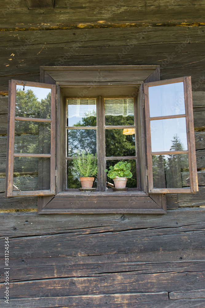Fototapeta premium Window with shutters and pots with flowers in wood.
