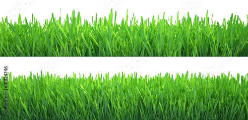 Green grass banners set. Nature background. Meadow. Spring, summer season. Plant growth 3d rendering